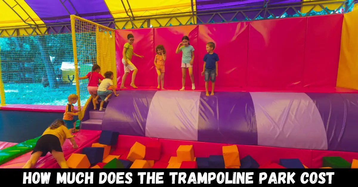 how much does the trampoline park cost - Guide