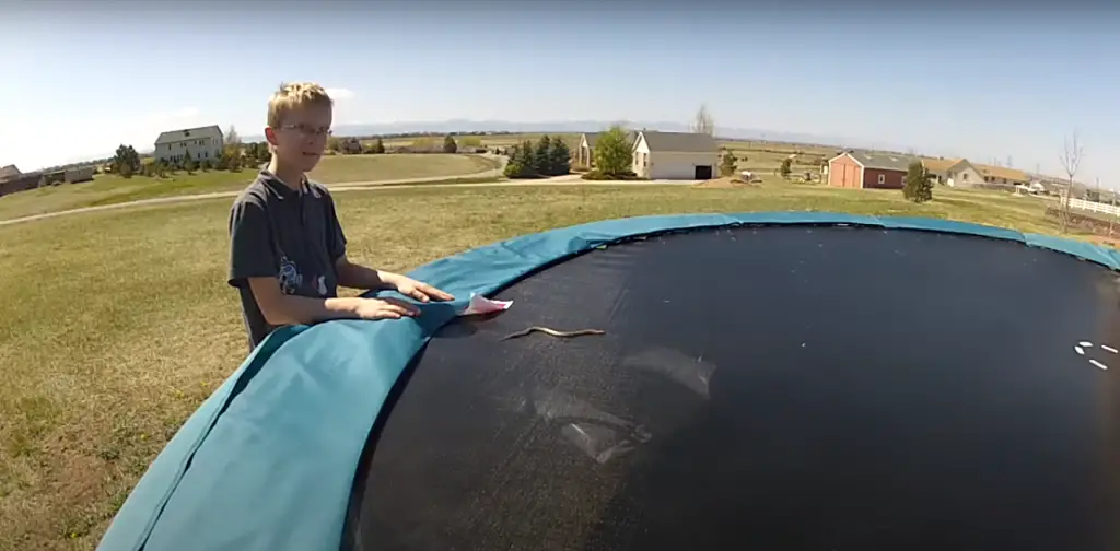 snakes in the ground trampoline