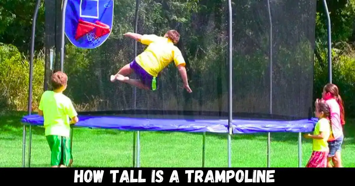 How Tall is A Trampoline - Guide