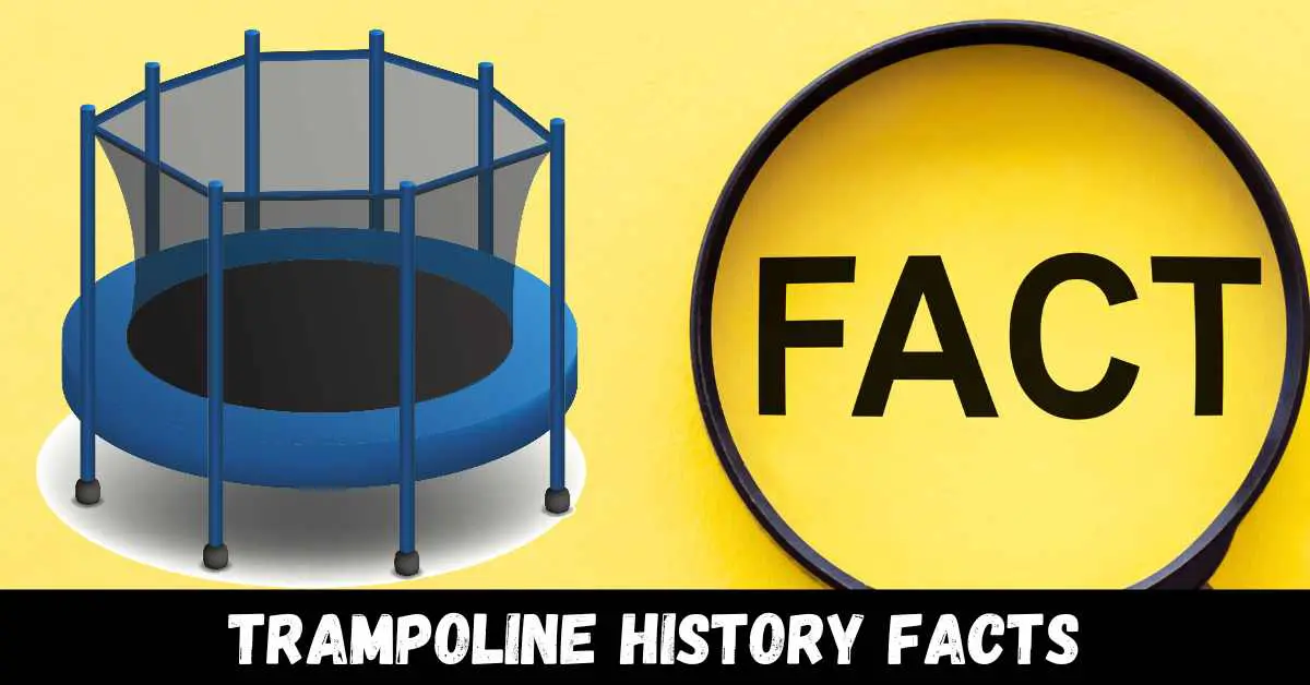 Trampoline History Facts - Guide