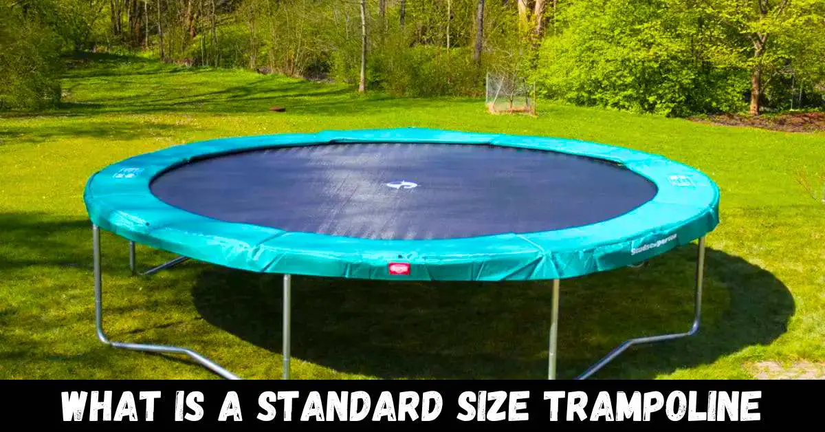 What is a Standard Size Trampoline - Guide