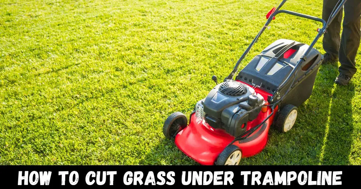 how to cut grass under trampoline - guide