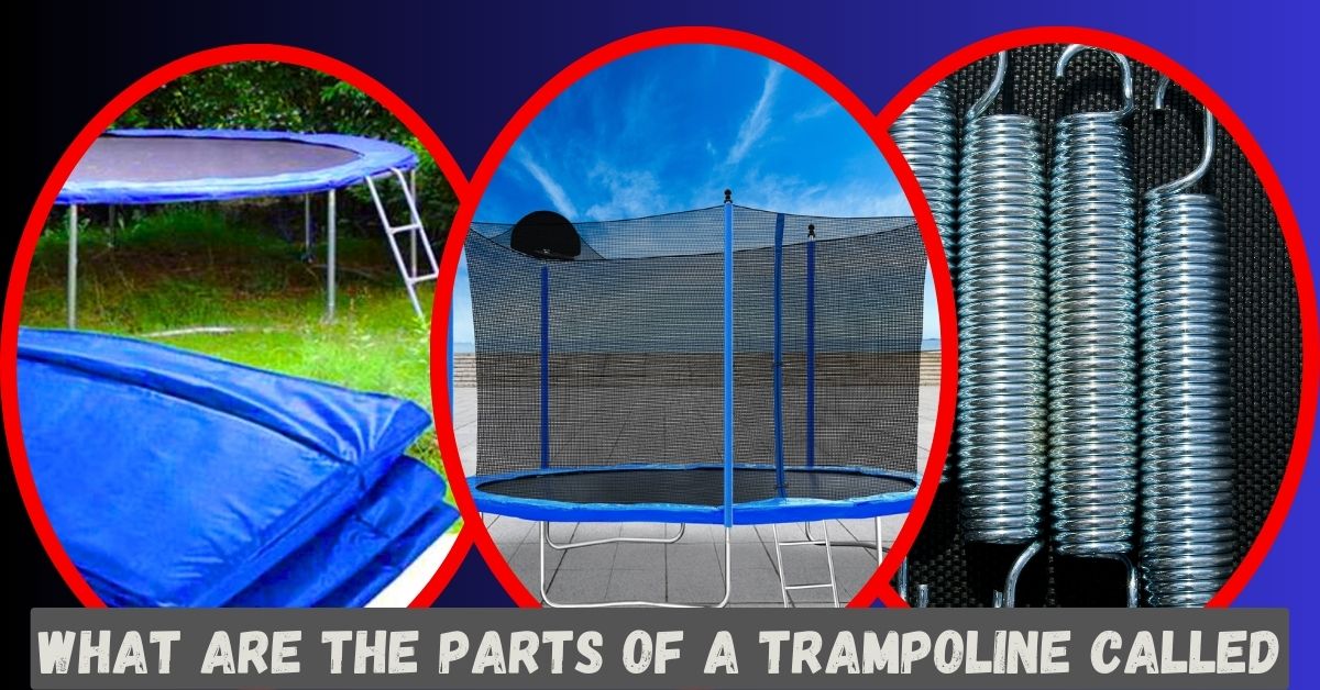 What are the Parts of a Trampoline Called Easy Guide [2023]