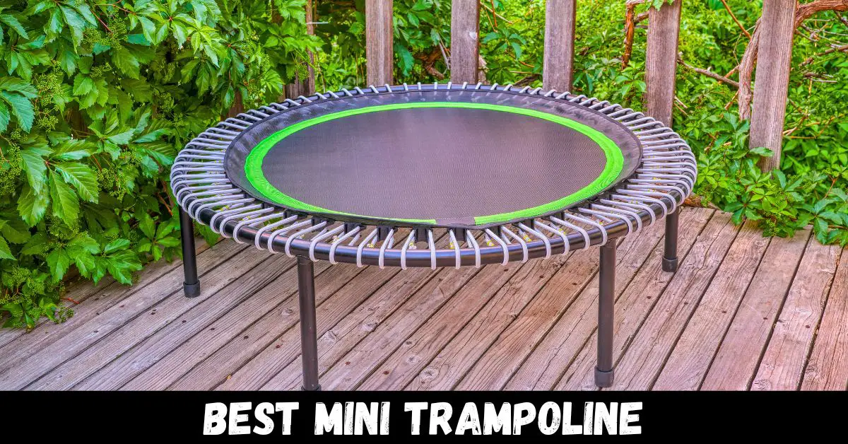 Best Mini Trampoline - Reviews