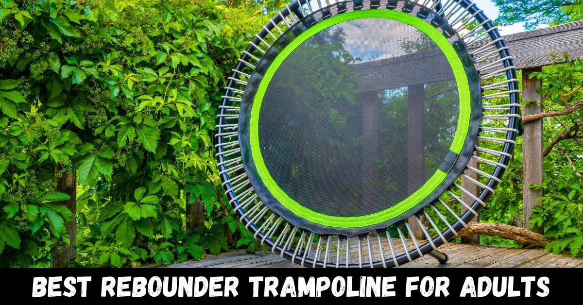Best Rebounder Trampoline for Adults - Reviews